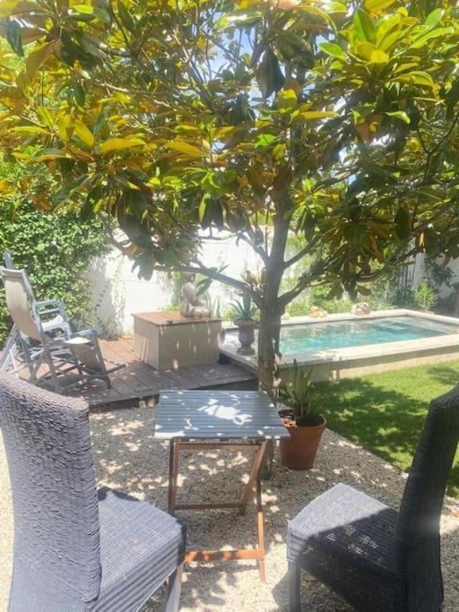 A Lombre Du Magnolia Daire LʼIsle-sur-la-Sorgue Dış mekan fotoğraf